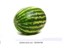 Image result for Melone