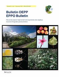 Attēlu rezultāti vaicājumam “Melampsora magnusiana”