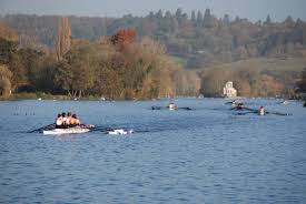 Image result for Erith Rowing Club