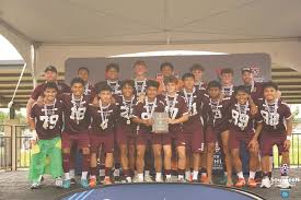 Image result for Tongham Boys Under 9`s Football Club