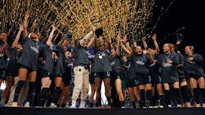 Image result for Gotham Soccer League