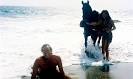 Monster Mania: Go Ape!: The Planet Of The Apes Series