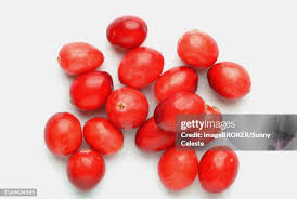 Attēlu rezultāti vaicājumam “Oxycoccus fruit”