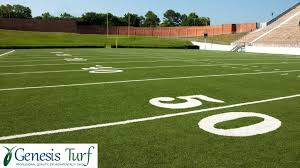Image result for Astroturf