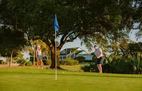 Image result for Roche Aero Club