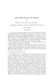 Attēlu rezultāti vaicājumam “Diderma chondrioderma sessile”