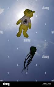 Image result for Brighton Kite Fliers