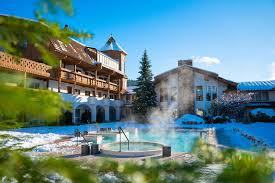 Image result for Enzian