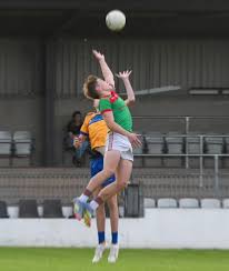 Image result for Silverbridge Harps Gac