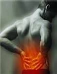 <b>Lower Back Pain</b>, Morton IL,