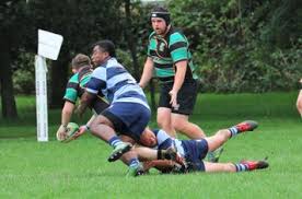 Image result for Alresford Rugby Club