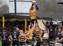 Image result for Rochford Hundred Rugby Club