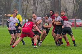 Image result for Bridgwater & Albion RFC