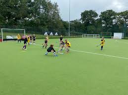 Image result for Alderley Edge Hockey Club