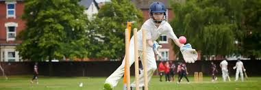 Image result for Wolverhampton City Netball League