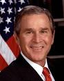Bush Picture 1