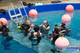 Image result for Deep Blue Diving