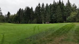 Image result for White Horse Kite Fliers Club