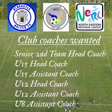 Image result for United in the Community - Horncastle Player Development Centres