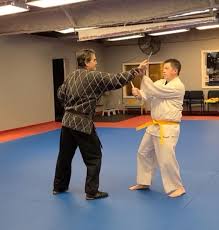 Image result for Precision Martial Arts