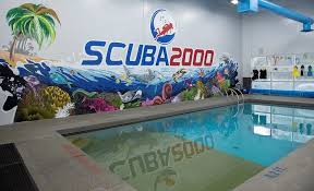 Image result for Scuba 2000