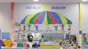 Image result for Deerness Valley Hpc Gymnastics Club