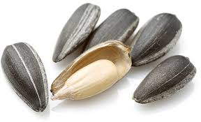 Attēlu rezultāti vaicājumam “Helianthus annuus fruit”