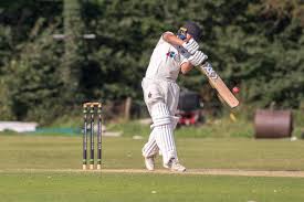 Image result for Horsford Cricket Club