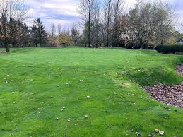 Image result for Carrickfergus Golf Club