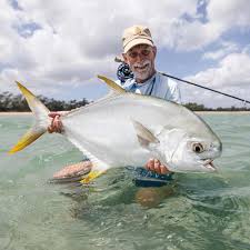 Image result for Trachinotus falcatus