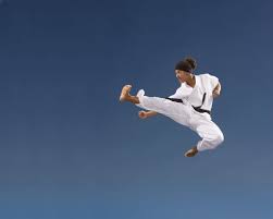 Image result for Kung Fu Wing Chun Club - University of Birmingham Sport