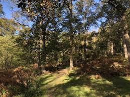 Image result for Coventry Ramblers