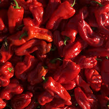 Afbeeldingsresultaat voor numex chimayo hot pepper