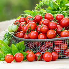 Afbeeldingsresultaat voor millionaire tomato