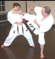 Image result for Konjaku Shin National School Of Karate, Lincolnshire