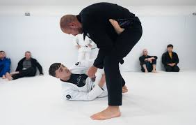 Image result for Macclesfield Dojo