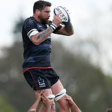 Image result for Hamilton Rugby Football Club