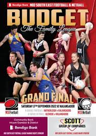 Image result for Speedwell Netball Club