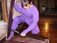 Image result for Hertfordshire Iga Ryu Ninjutsu