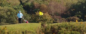 Image result for Clyne Golf Club Limited