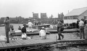 Image result for Chasewater Model Boat Club