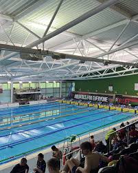 Image result for Swansea Finswimming Club