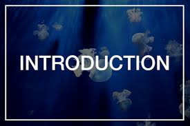 Image result for Diveline