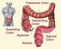 Best Natural Colon Cleanse|Diet|Recipes|Herbal Products Guide