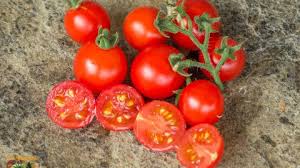 Afbeeldingsresultaat voor millionaire tomato