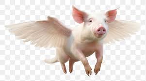 Image result for flying pigs