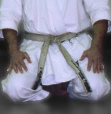 Image result for Stockport Shotokan Karate Club