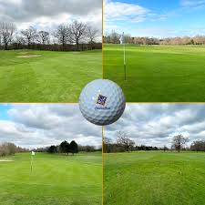 Image result for Clandon Regis Golf Club Ltd