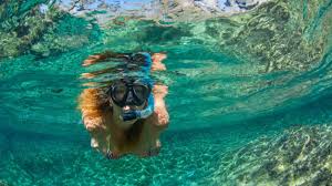 Image result for East Snorkellers