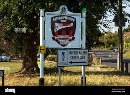 Image result for Saffron Walden Cricket Club